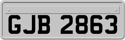 GJB2863