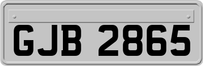 GJB2865
