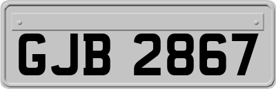 GJB2867