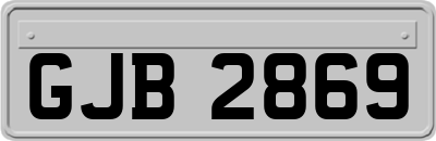 GJB2869