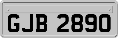 GJB2890