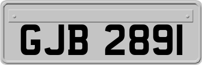GJB2891