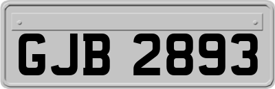GJB2893
