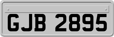 GJB2895