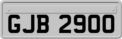 GJB2900