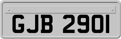 GJB2901