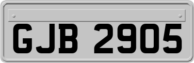 GJB2905