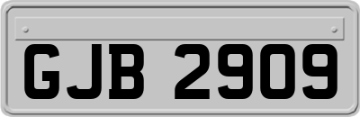 GJB2909