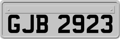 GJB2923