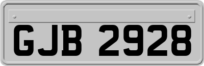 GJB2928