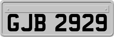 GJB2929