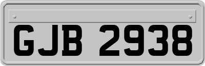 GJB2938