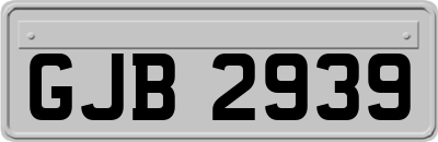 GJB2939