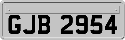 GJB2954