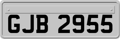 GJB2955