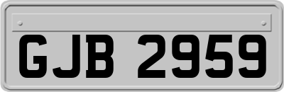 GJB2959