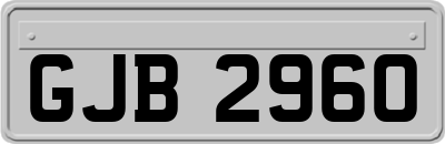 GJB2960