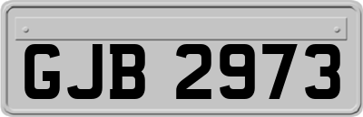 GJB2973