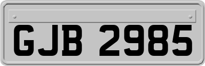 GJB2985