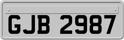 GJB2987