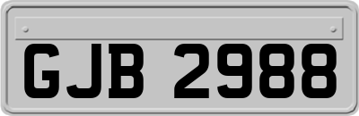 GJB2988
