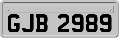 GJB2989
