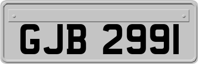 GJB2991