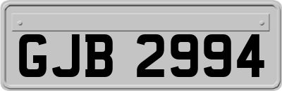 GJB2994