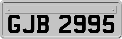 GJB2995