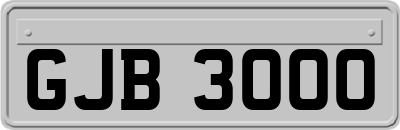 GJB3000