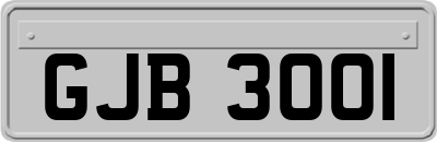 GJB3001