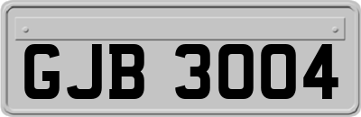 GJB3004