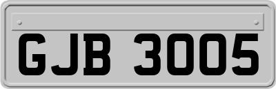 GJB3005
