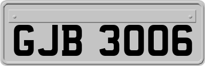 GJB3006