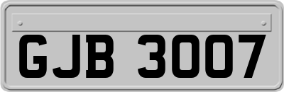 GJB3007
