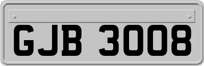 GJB3008