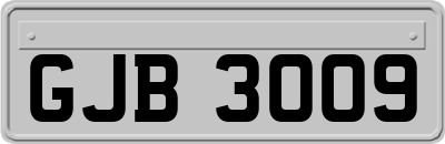 GJB3009