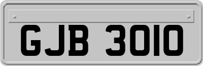 GJB3010