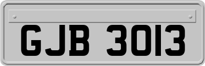 GJB3013