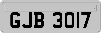 GJB3017