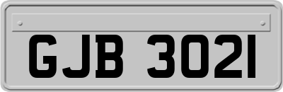 GJB3021
