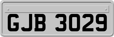 GJB3029