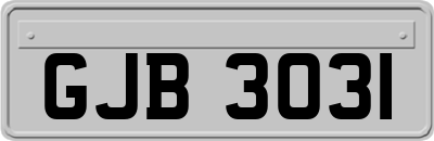 GJB3031
