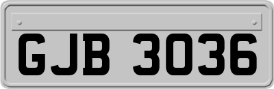 GJB3036