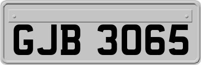 GJB3065