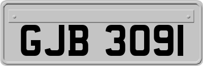 GJB3091