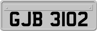 GJB3102