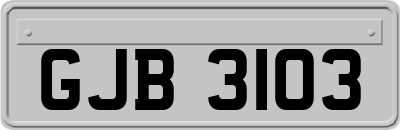 GJB3103