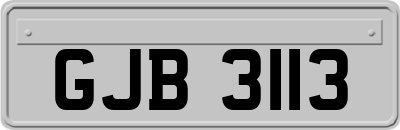 GJB3113