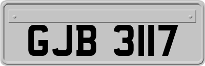GJB3117